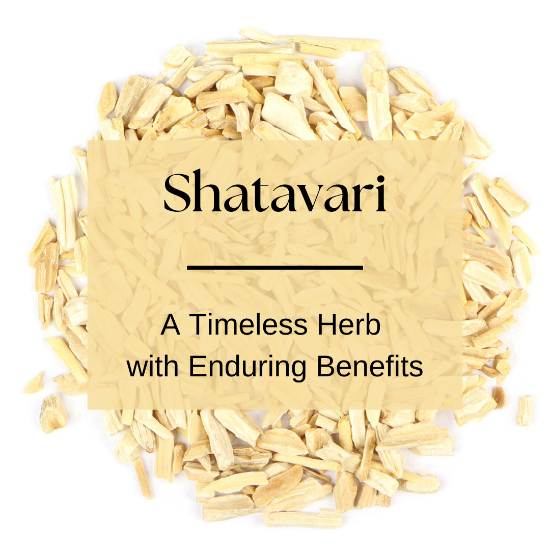 Shatavari: A Timeless Herb with Enduring Benefits - Earth Rx
