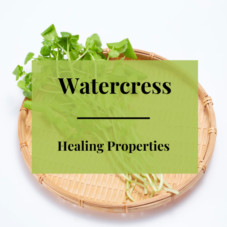 Watercress