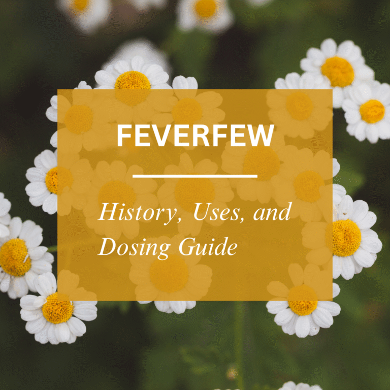 FEVERFEW BLOG SQUARE