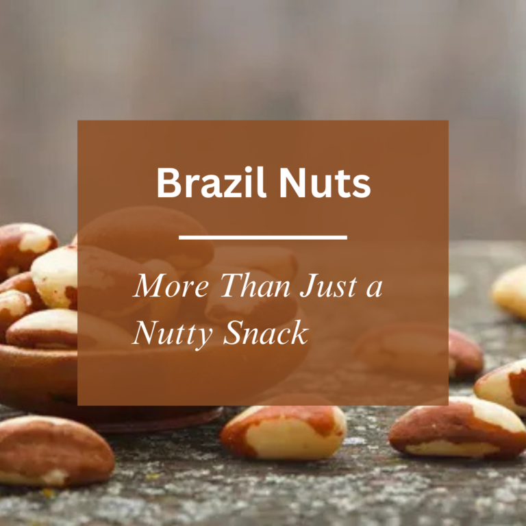 brazilnutsfrontpicture