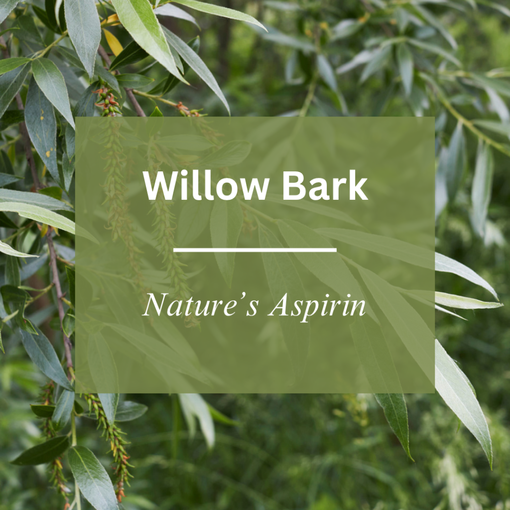 willow bark nature's original pain reliever